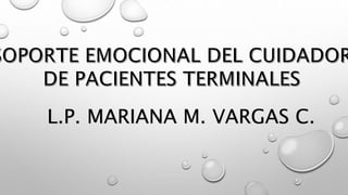 L.P. MARIANA M. VARGAS C.
 