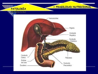 = FRAGILIDAD NUTRICIONAL
PATOLOGÍA
DIGESTIVA
 