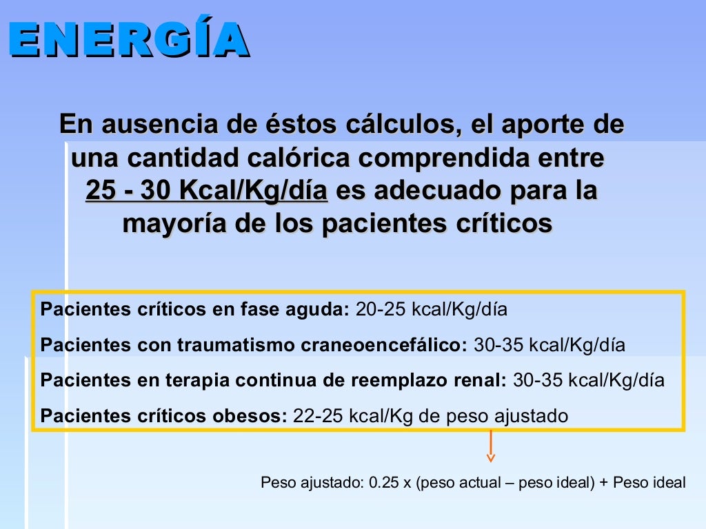 Soporte nutricional en el paciente crítico Soporte nutricional en el paciente crítico