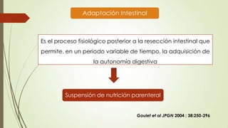 Fall Intestinal Soporte Nutricional en Falla Intestinal | PPSX