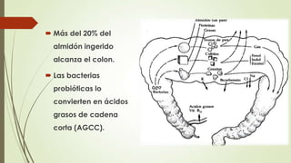 Fall Intestinal Soporte Nutricional en Falla Intestinal | PPSX