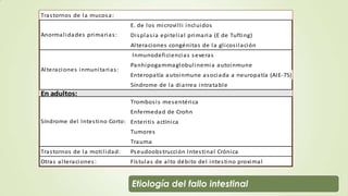 Fall Intestinal Soporte Nutricional en Falla Intestinal | PPSX