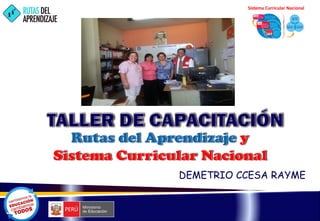 DEMETRIO CCESA RAYME
Sistema Curricular Nacional
 