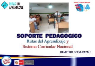 DEMETRIO CCESA RAYME
Sistema Curricular Nacional
 