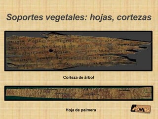 Soportes vegetales: hojas, cortezas
Corteza de árbol
Hoja de palmera
 