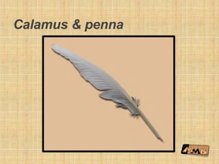 Calamus & penna
 