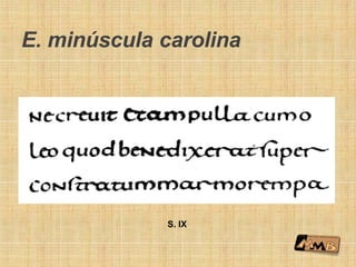 E. minúscula carolina
S. IX
 