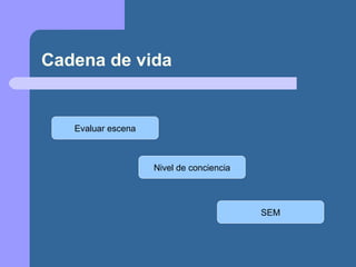 Cadena de vida Evaluar escena Nivel de conciencia SEM