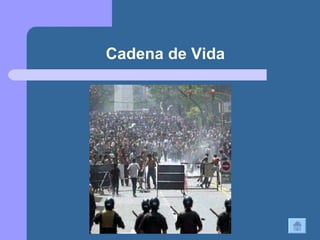Cadena de Vida 