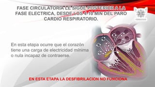 FASE CIRCULATORIA LE SIGUE POSTERIOR A LA
FASE ELECTRICA, DESDE LOS 4-10 MIN DEL PARO
CARDIO RESPIRATORIO.
En esta etapa ocurre que el corazón
tiene una carga de electricidad mínima
o nula incapaz de contraerse.
EN ESTA ETAPA LA DESFIBRILACION NO FUNCIONA
 