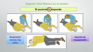 Soporte Vital Básico en el adulto:
El paciente SI responde:
Posición de
recuperación
Respiración
normal, hay
pulso
 