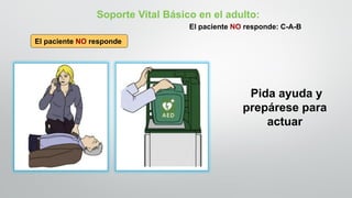 Pida ayuda y
prepárese para
actuar
Soporte Vital Básico en el adulto:
El paciente NO responde: C-A-B
El paciente NO responde
 