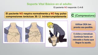 El paciente NO respira normalmente y NO hay pulso
compresiones torácicas 30 / 2 ininterrumpidamente
Soporte Vital Básico en el adulto:
El paciente NO responde: C-A-B
Utilizar DEA tan
pronto sea posible.
5 ciclos y reevaluar.
Continúe hasta ser
relevado o hasta que
llegue la ayuda.
C (Compressions)
 