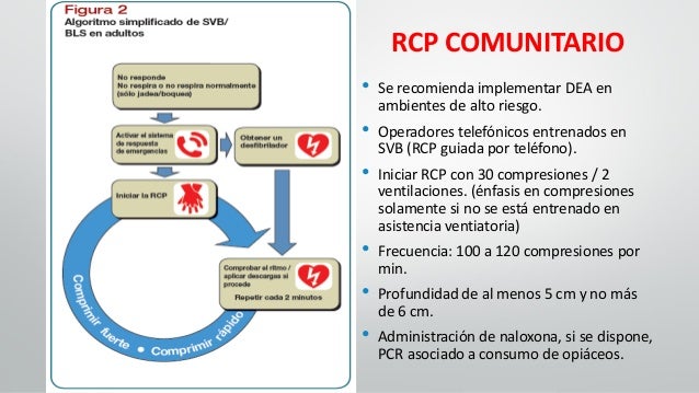 reanimaci243n cardiopulmonar b225sica rcp cpr bls reanimaci243n cardiopulmonar b225sica rcp cpr bls