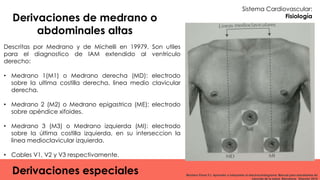 Sistema Cardiovascular:
Fisiología
Derivaciones de medrano o
abdominales altas
Descritas por Medrano y de Michelli en 1997...