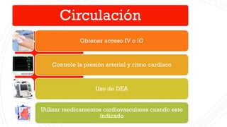 Circulación
Obtener acceso IV o IO
Controle la presión arterial y ritmo cardiaco
Uso de DEA
Utilizar medicamentos cardiova...