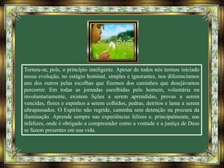 Tornou-se, pois, o princípio inteligente. Apesar de todos nós termos iniciado
nossa evolução, no estágio hominal, simples e ignorantes, nos diferenciamos
uns dos outros pelas escolhas que fizemos dos caminhos que desejávamos
percorrer. Em todas as jornadas escolhidas pelo homem, voluntária ou
involuntariamente, existem lições a serem aprendidas, provas a serem
vencidas, flores e espinhos a serem colhidos, pedras, detritos e lama a serem
ultrapassados. O Espírito não regride, caminha sem detenção na procura da
iluminação. Aprende sempre nas experiências felizes e, principalmente, nas
infelizes, onde é obrigado a compreender como a vontade e a justiça de Deus
se fazem presentes em sua vida.
 