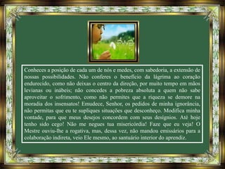 Conheces a posição de cada um de nós e medes, com sabedoria, a extensão de
nossas possibilidades. Não conferes o benefício da lágrima ao coração
endurecido, como não deixas o centro da direção, por muito tempo em mãos
levianas ou inábeis; não concedes a pobreza absoluta a quem não sabe
aproveitar o sofrimento, como não permites que a riqueza se demore na
moradia dos insensatos! Emudece, Senhor, os pedidos de minha ignorância,
não permitas que eu te supliques situações que desconheço. Modifica minha
vontade, para que meus desejos concordem com seus desígnios. Até hoje
tenho sido cego! Não me negues tua misericórdia! Faze que eu veja! O
Mestre ouviu-lhe a rogativa, mas, dessa vez, não mandou emissários para a
colaboração indireta, veio Ele mesmo, ao santuário interior do aprendiz.
 