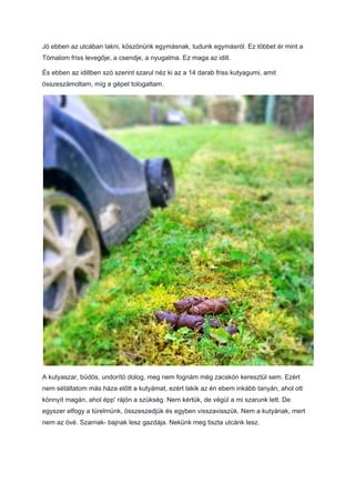 Jó ebben az utcában lakni, köszönünk egymásnak, tudunk egymásról. Ez többet ér mint a
Tómalom friss levegője, a csendje, a nyugalma. Ez maga az idill.
És ebben az idillben szó szerint szarul néz ki az a 14 darab friss kutyagumi, amit
összeszámoltam, míg a gépet tologattam.
A kutyaszar, büdös, undorító dolog, meg nem fognám még zacskón keresztül sem. Ezért
nem sétáltatom más háza előtt a kutyámat, ezért lakik az én ebem inkább tanyán, ahol ott
könnyít magán, ahol épp' rájön a szükség. Nem kértük, de végül a mi szarunk lett. De
egyszer elfogy a türelmünk, összeszedjük és egyben visszavisszük. Nem a kutyának, mert
nem az övé. Szarnak- bajnak lesz gazdája. Nekünk meg tiszta utcánk lesz.
 