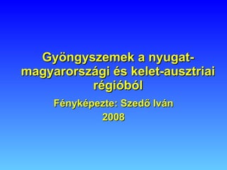 Gyöngyszemek a nyugat-magyarországi és kelet-ausztriai régióból Fényképezte: Szedő Iván 2008 