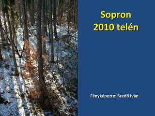 Sopron 2010 telén Fényképezte: Szedő Iván 