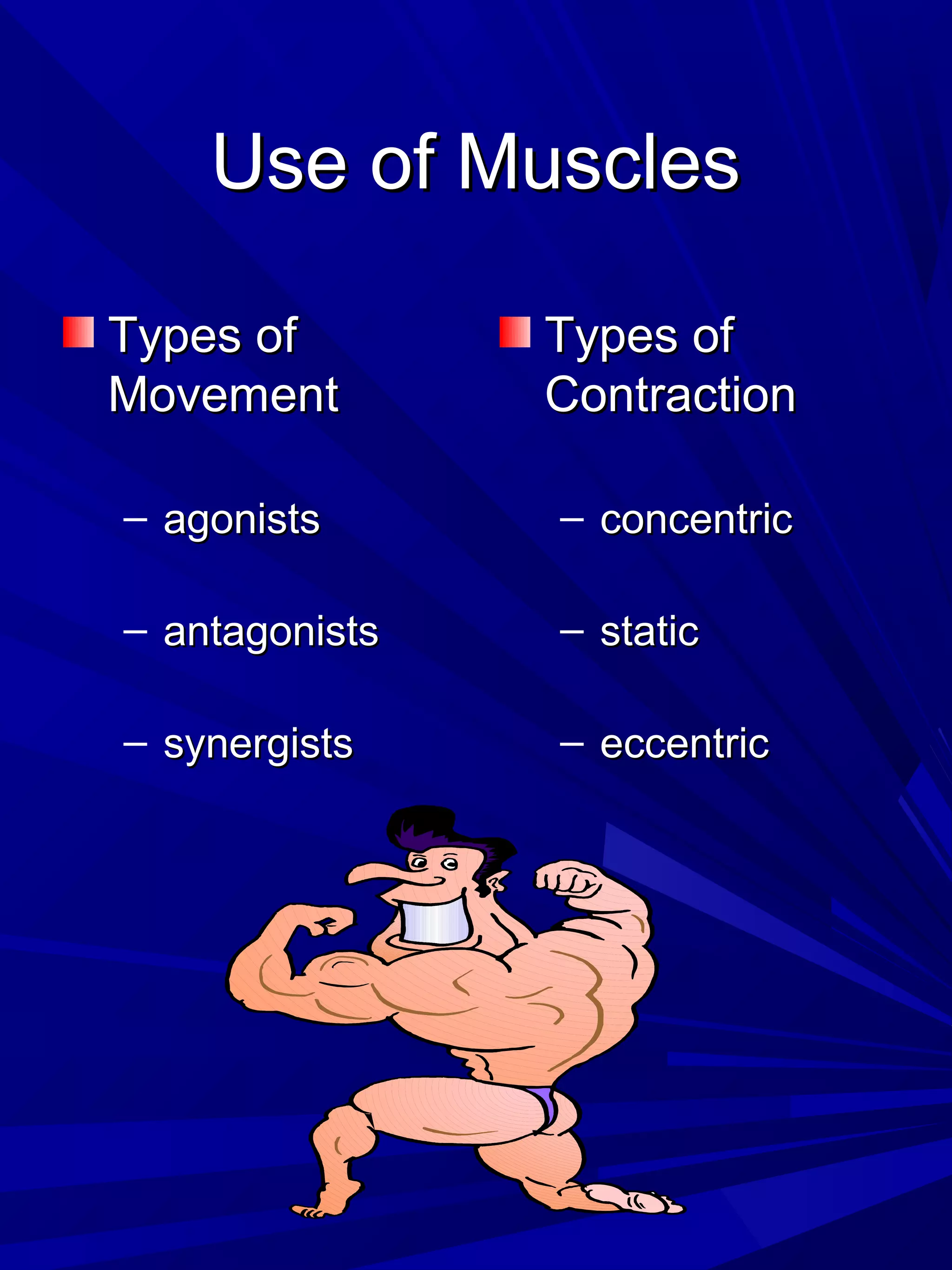 Use of MusclesUse of Muscles
Types ofTypes of
MovementMovement
– agonistsagonists
– antagonistsantagonists
– synergistssynergists
Types ofTypes of
ContractionContraction
– concentricconcentric
– staticstatic
– eccentriceccentric
 