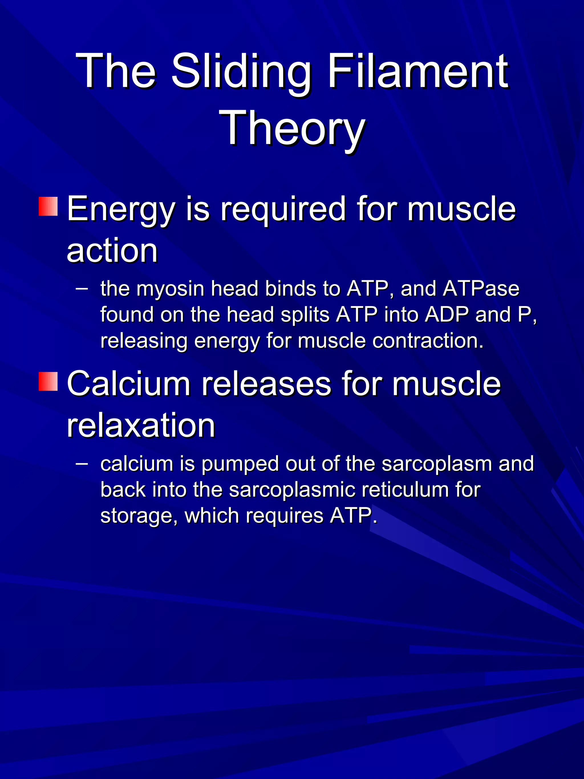 The Sliding FilamentThe Sliding Filament
TheoryTheory
Energy is required for muscleEnergy is required for muscle
actionaction
– the myosin head binds to ATP, and ATPasethe myosin head binds to ATP, and ATPase
found on the head splits ATP into ADP and P,found on the head splits ATP into ADP and P,
releasing energy for muscle contraction.releasing energy for muscle contraction.
Calcium releases for muscleCalcium releases for muscle
relaxationrelaxation
– calcium is pumped out of the sarcoplasm andcalcium is pumped out of the sarcoplasm and
back into the sarcoplasmic reticulum forback into the sarcoplasmic reticulum for
storage, which requires ATP.storage, which requires ATP.
 