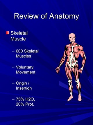 Review of AnatomyReview of Anatomy
SkeletalSkeletal
MuscleMuscle
– 600 Skeletal600 Skeletal
MusclesMuscles
– VoluntaryVoluntary
MovementMovement
– Origin /Origin /
InsertionInsertion
– 75% H2O,75% H2O,
20% Prot.20% Prot.
 