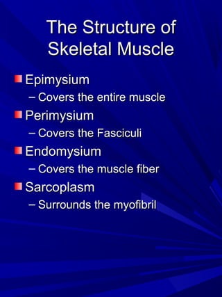 The Structure ofThe Structure of
Skeletal MuscleSkeletal Muscle
EpimysiumEpimysium
– Covers the entire muscleCovers the entire muscle
PerimysiumPerimysium
– Covers the FasciculiCovers the Fasciculi
EndomysiumEndomysium
– Covers the muscle fiberCovers the muscle fiber
SarcoplasmSarcoplasm
– Surrounds the myofibrilSurrounds the myofibril
 