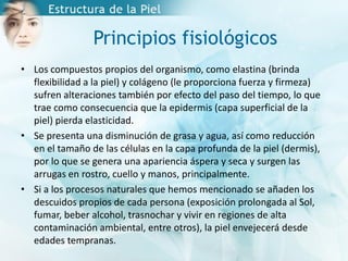 Principios fisiológicos
• Los compuestos propios del organismo, como elastina (brinda
flexibilidad a la piel) y colágeno (le proporciona fuerza y firmeza)
sufren alteraciones también por efecto del paso del tiempo, lo que
trae como consecuencia que la epidermis (capa superficial de la
piel) pierda elasticidad.
• Se presenta una disminución de grasa y agua, así como reducción
en el tamaño de las células en la capa profunda de la piel (dermis),
por lo que se genera una apariencia áspera y seca y surgen las
arrugas en rostro, cuello y manos, principalmente.
• Si a los procesos naturales que hemos mencionado se añaden los
descuidos propios de cada persona (exposición prolongada al Sol,
fumar, beber alcohol, trasnochar y vivir en regiones de alta
contaminación ambiental, entre otros), la piel envejecerá desde
edades tempranas.
 