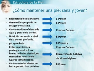 ¿Cómo mantener una piel sana y joven?
• Regeneración celular activa.
• Generación apropiada de
colágeno y elastina.
• Concentración suficiente de
agua y grasa en la dermis.
• Nutrición necesaria a nivel
de la dermis profunda.
• pH apropiado.
• Evitar exposiciones
prolongadas al sol, no
fumar, no beber alcohol, no
trasnochar, no estar en
lugares contaminados.
• Contrarrestar los efectos de
las cargas eléctricas positivas.
E-Power
E-Power
Cremas DeLenn.
E-Power
E-Power y
Cremas DeLenn
Corrección de hábitos
de vida e higiene.
E-Power
 