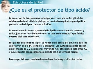 ¿Qué es el protector de tipo ácido?
• La secreción de las glándulas sudoríparas ecrinas y la de las glándulas
sebáceas darán el pH de la piel (pH es un símbolo químico que significa:
potencia de hidrógeno de una solución).
La emulsión epicutánea o manto hidrolipídico es una mezcla de sebo y
sudor, junto con las células córneas, es una 'crema natural' que fabrica
nuestra piel, una protección.
Los grados de acidez de la piel se miden en la escala del pH, en la cual los
valores van de 0 a 14, siendo el 7 el neutro. Las sustancias ácidas poseen
un pH menor de 7 y las alcalinas mayor de 7. El pH cutáneo está entre 4,2
y 5,6, según las zonas corporales, siendo el 5,5 el término medio.
En este pH ácido no pueden desarrollarse los hongos ni las bacterias.
 