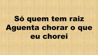 Só quem tem raiz
Aguenta chorar o que
eu chorei
 