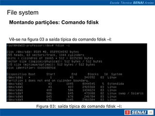 File system
Montando partições: Comando fdisk


Vê-se na figura 03 a saída típica do comando fdisk –l:




              Figura 03: saída típica do comando fdisk –l:
 