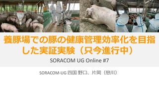 SORACOM-UG 四国 野口、片岡（戀川）
養豚場での豚の健康管理効率化を目指
した実証実験（只今進行中）
SORACOM UG Online #7
 