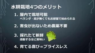水耕栽培4つのメリット
1. 屋内で栽培可能
ベランダ・庭が無くてもお部屋で始められる
2. 害虫が出ないため農薬不要
3. 採れたて新鮮
感動するほど美味い
4. 育てる喜び＝プライスレス
 