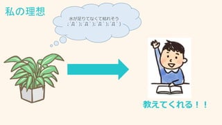 私の理想
水が足りてなくて枯れそう
;´Д｀);´Д｀);´Д｀);´Д｀)
教えてくれる！！
 