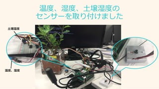 温度、湿度、土壌湿度の
センサーを取り付けました
温度、湿度
土壌湿度
 
