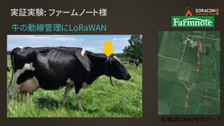 実証実験: ファームノート様
牧場(約2km)をカバー！
牛の動線管理にLoRaWAN
 