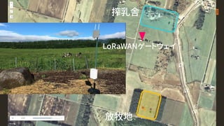 搾乳舎
放牧地
LoRaWANゲートウェイ
 