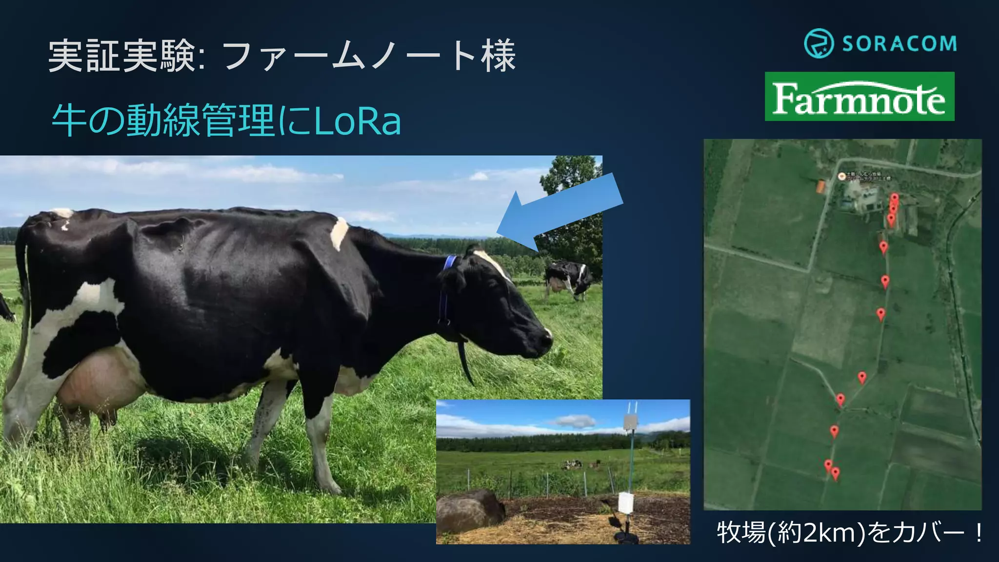 実証実験: ファームノート様
牧場(約2km)をカバー！
牛の動線管理にLoRa
 