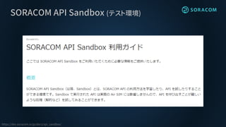 SORACOM API Sandbox (テスト環境)
https://dev.soracom.io/jp/docs/api_sandbox/
 