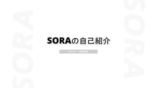 SORA 自己紹介
2019.07.01　/　株式会社空
 