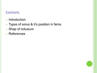 CONTENTS:
 Introduction
 Types of sorus & it’s position in ferns
 Shap of indusium
 References
 
