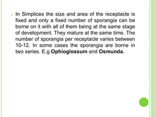  In Simplices the size and area of the receptacle is
fixed and only a fixed number of sporangia can be
borne on it with all of them being at the same stage
of development. They mature at the same time. The
number of sporangia per receptacle varies between
10-12. In some cases the sporangia are borne in
two series. E.g.Ophioglossum and Osmunda.
 