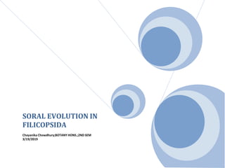 SORAL EVOLUTION IN
FILICOPSIDA
Chayanika Chowdhury;BOTANY HONS.;2ND SEM
3/19/2019
 