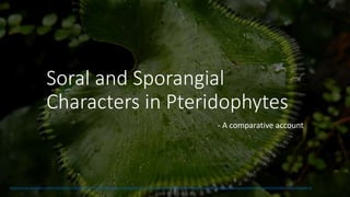 Soral and Sporangial
Characters in Pteridophytes
- A comparative account
(https://th.bing.com/th/id/R.f407870c5eb7f427fe075c90de1e510d?rik=mHaijxcSeHv9fQ&riu=http%3a%2f%2fi1.treknature.com%2fphotos%2f482%2fff1.jpg&ehk=swnMZ%2fQnONqiBzoH0ckmgVsJzbudAKzbHSnKmZN%2fhn0%3d&risl=&pid=ImgRaw&r=0)
 