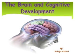The Brain and Cognitive
Development
By:
Soraya Hakimi
 