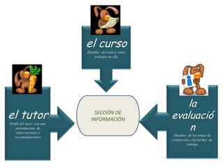 el cursoDetalles  del aula y como trabajar en ellala evaluaciónDetalles  de los temas de evaluación y las fechas  de entregael tutorPerfil del tutor  con una presentación  de observaciones y recomendaciones SECCIÓN DE INFORMACIÓN 