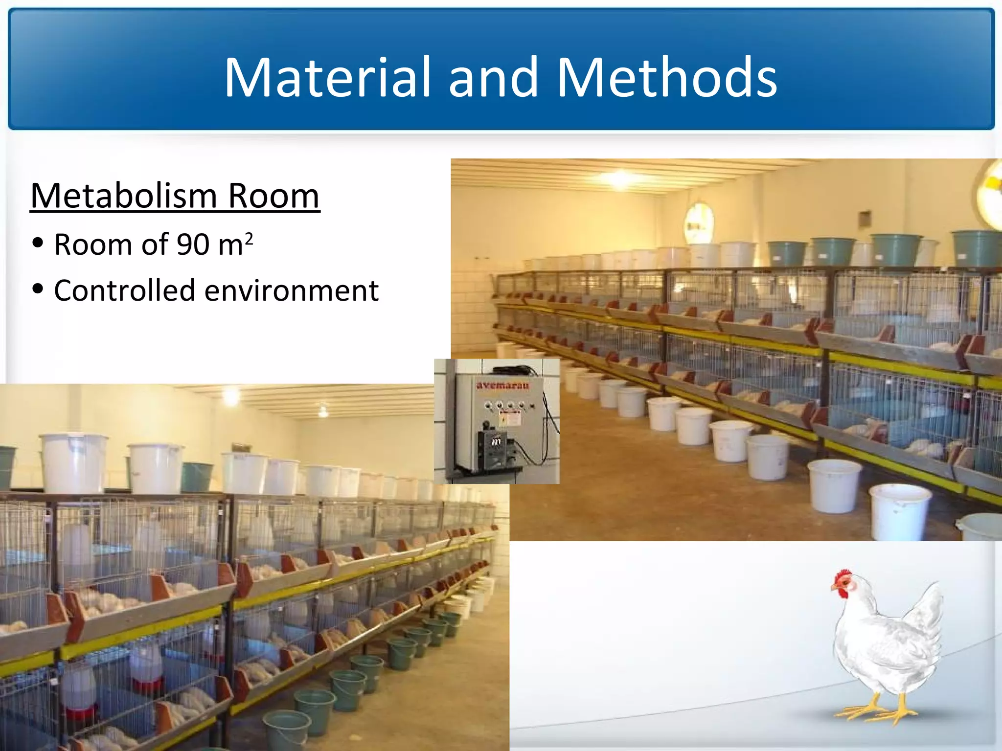 Material and Methods
Metabolism Room
• Room of 90 m2
• Controlled environment

 
